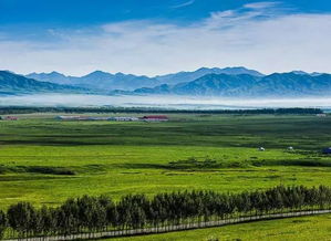 旅游暂停的连锁反应