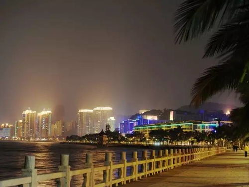 情侣路？本地人更爱去香洲港的“海鲜大排档江湖”