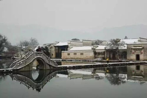 材料与结构特征