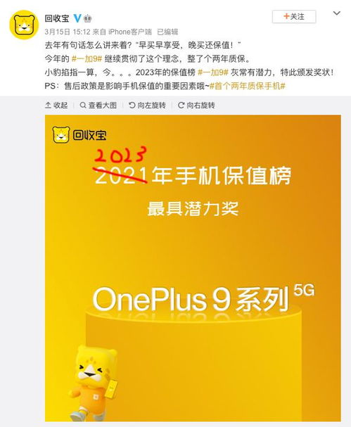 品质评估场景中的“颇佳”:实用价值与审美体验的平衡