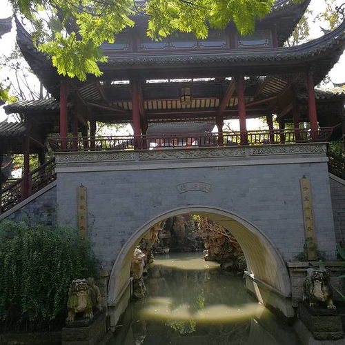 对抗性观点：优惠背后的真实相与挑战
