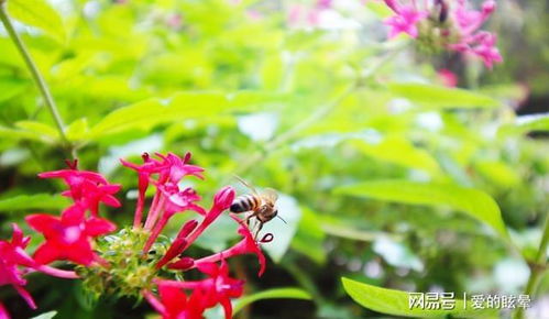 丙火与癸水的重要性