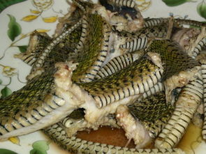 梦见蛇后将其杀死，多蛇同梦能否一一斩尽？