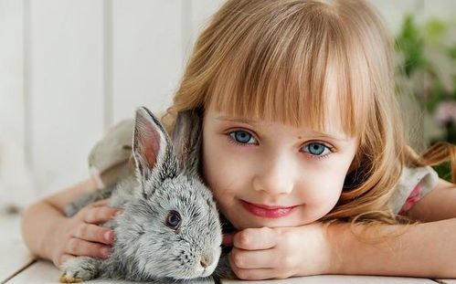 清漪：水波荡漾的感觉