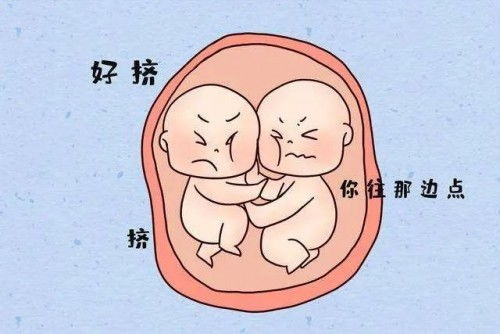 1.2 “灵婴”的具体指代范围