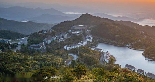 苍南旅游攻略：一场说走就走的“乱炖”之旅