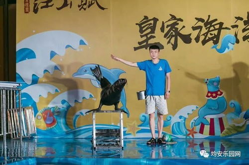 走进李较小龙乐园：功夫之地的魅力