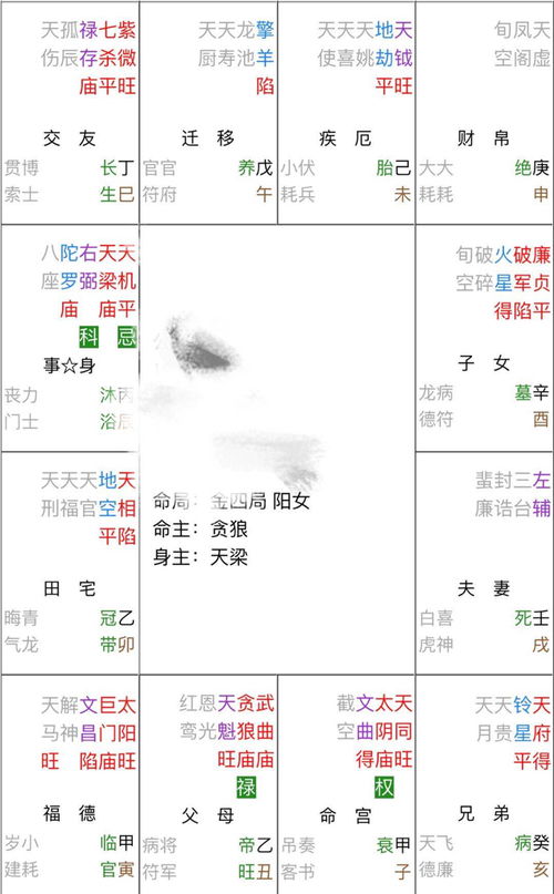 紫微斗数中将求高手是什么意思？
