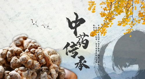 2026年动土为何要避开三七九这个时间点呢？