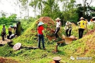3. 坟墓周边环境的维护与禁忌