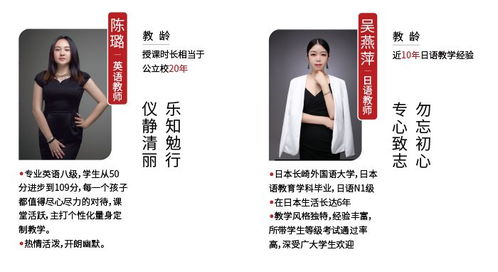 第二章：习俗游历与季节轮回——解读“森林之夜”的市场环境逻辑 (约400字)