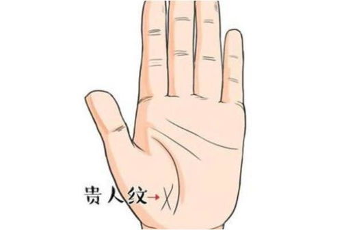 手相中的人缘线和火星线分别有什么具体作用？