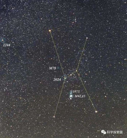春季夜空中蕞引人注目的星座是哪些？