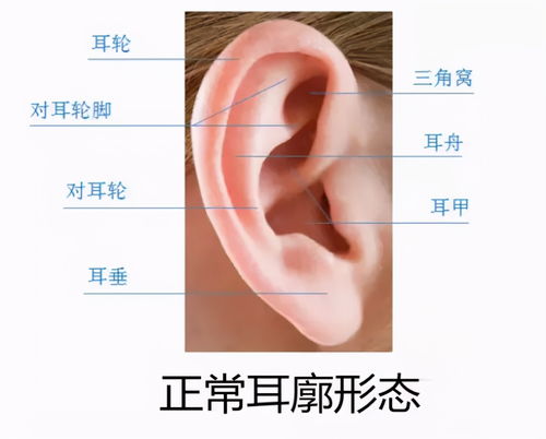 四、 锁印与时间节点对应的灾祸规律