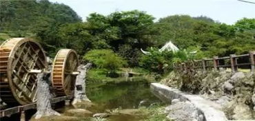 四、 桃源河峡谷生态旅游区——“漂流+奶牛亲密接触”双模式狂欢