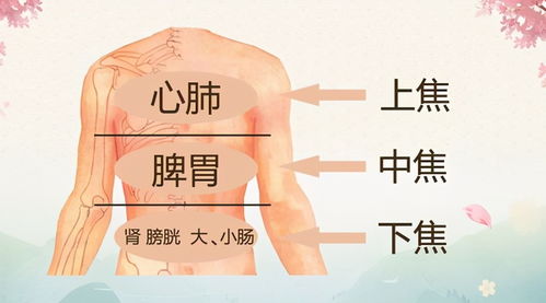 二、 平受脉与人体经络：从宏观地理到微观生理状况的映射关系