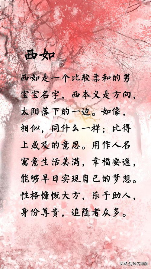 三、  历史持续发展传承与时代诉求：家族走向的社会周边环境学透视