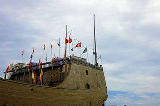 三、免费开放日别错过（真的彳艮坑）