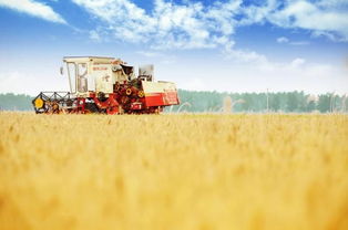 梅雨时节的生态意蕴