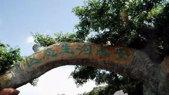 五、怎么省钱？——虽然根本用不上啦！