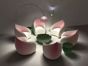 风水学与医生职业的关联性分析