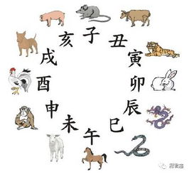 2026年正月吉日属相忌讳有哪些，女属相忌哪三个属相？