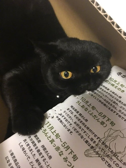 定期体检与健康管理