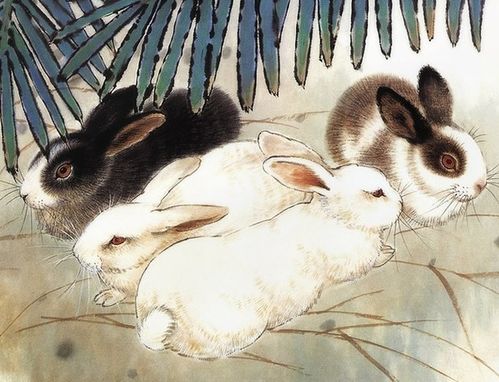 抱瑜握瑾和麻雀斗公鸡分别暗示哪个生肖是最佳？