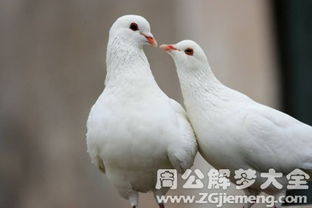 心理分析的角度