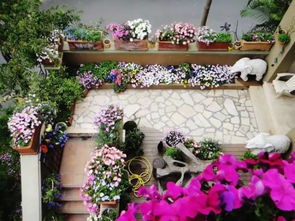 ：入户花园植物配置的文化意蕴与风水考量