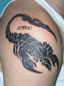 七、结论与反思