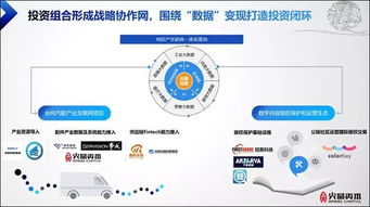 3. 数据驱动洞察：解锁隐藏实际价值