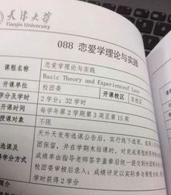 （二） 天津大学：理论研究与历史遗产保护的深度融合