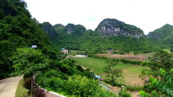 扶绥风水留题地附近共有多少处留题地分布？