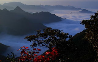 一、 风水宝地的概念界定及其核心特征