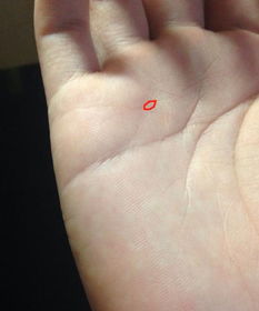 六、 生命线上及掌心中心的星纹