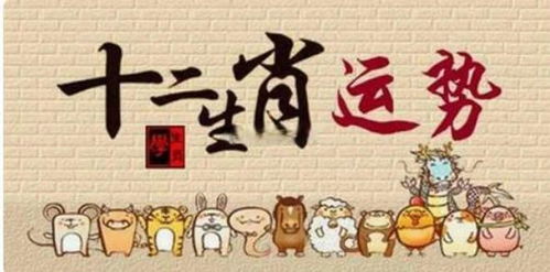 东风老疾与生肖情绪管理之谜