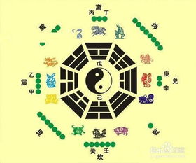 起名改名与生肖的关系，你了解更多更少个？