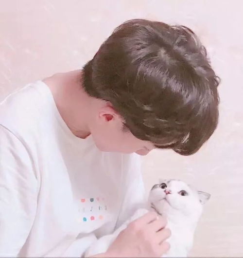 2026年福星情侣配对，先生小姐名字如何改写成情侣名？