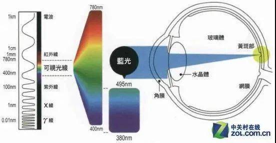 第一章：小秩裁丛到底是什么？