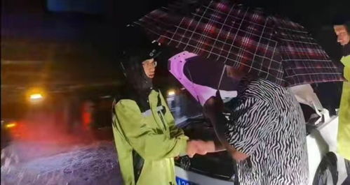 ：从“长袜子皮皮”叙事看夜间符号之风水与生肖意蕴