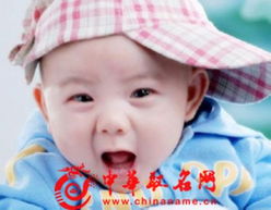 兔年刚出生的女宝宝，有哪些好听的名字推荐呢？