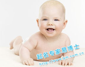 猴宝宝的名字挑选——乱七八糟版指南