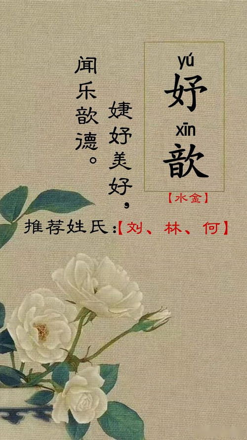 “菊”字：一朵没心没肺的花