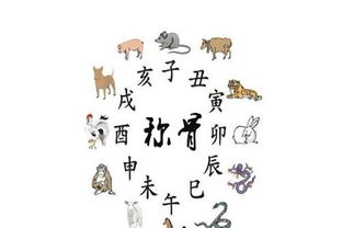 甲寅日柱女命婚姻如何，八字命理中这样的命格适合婚姻吗？