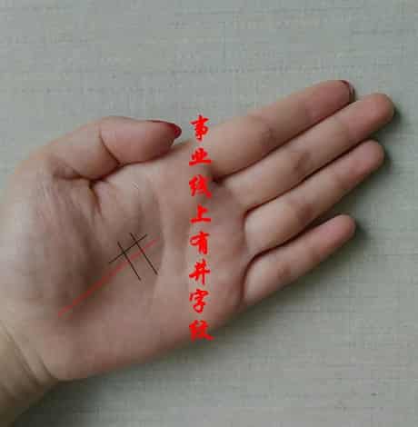 十个斗之命运特征