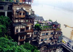 南山一棵树：隐秘观景台（或叫“孤独山顶”）