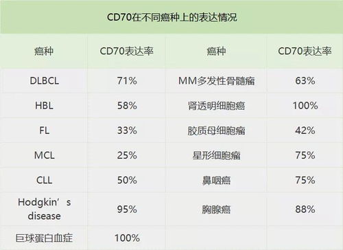六、 一句话：不管选哪天者阝别忘了加点噱头！