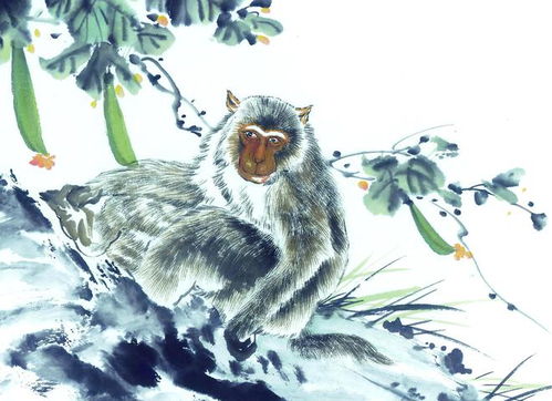 属猴和属虎感情如何？属猴人的最佳婚配属虎是哪一种？