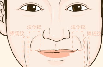 四、 耳廓形态与社交魅力之间的关联